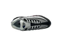 Кроссовки Nike Air Max 95 'Toronto'