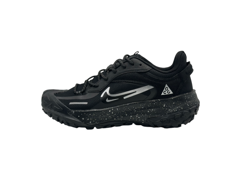 Nike ACG Mountain Fly 2 Low GORE-TEX 'Polar Night'