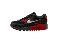 Кроссовки Nike Air Max 90 'Anthracite/Mystic Red'