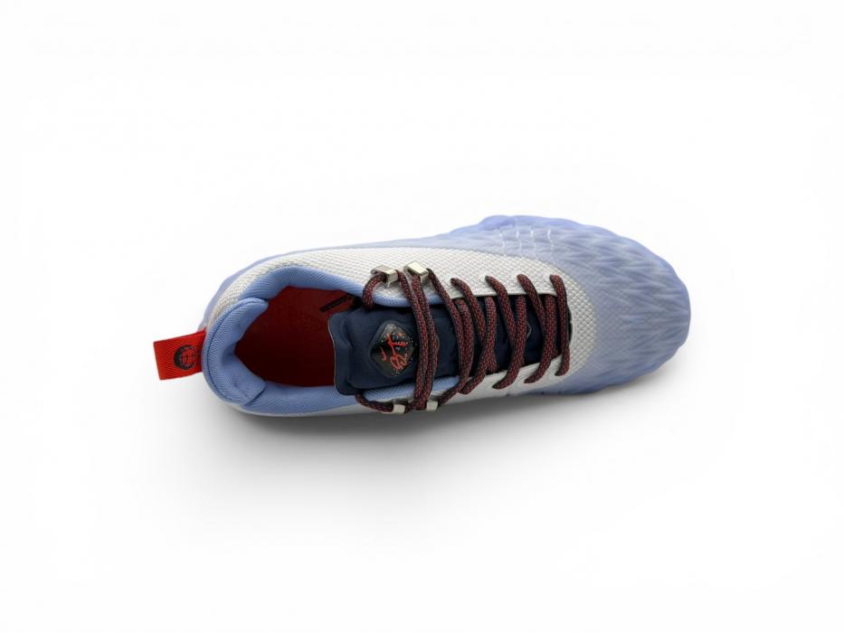 Кроссовки Nike x Cade Cunningham S.T. Charge PE 'Detroit Tough'