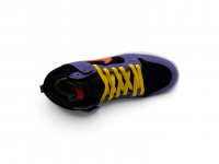 Nike SB DUNK HIGH ACG TERRA  WINTER